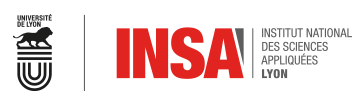 INSA Lyon, école où la fondatrice a été incubée pour créer Sekooly